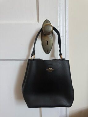 Coach Small Town Bucket Bag